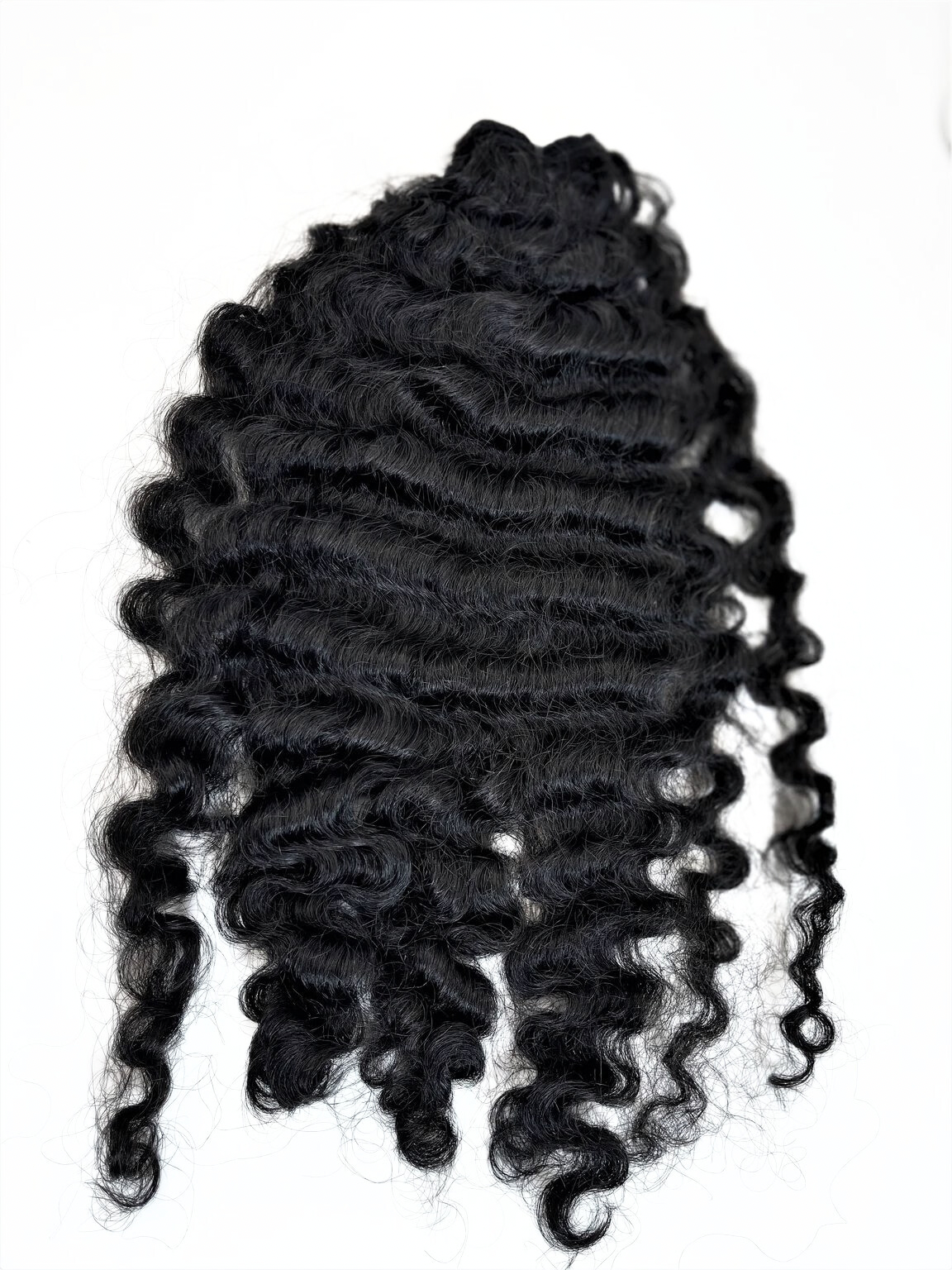 Burmese CurlySingle Bundle Deal